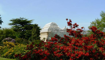 earlysummer_palm_house_view